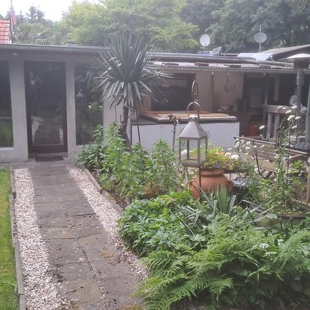 Apartmenthaus Mit Sauna Und Whirlpool Krefeld Exteriör bild
